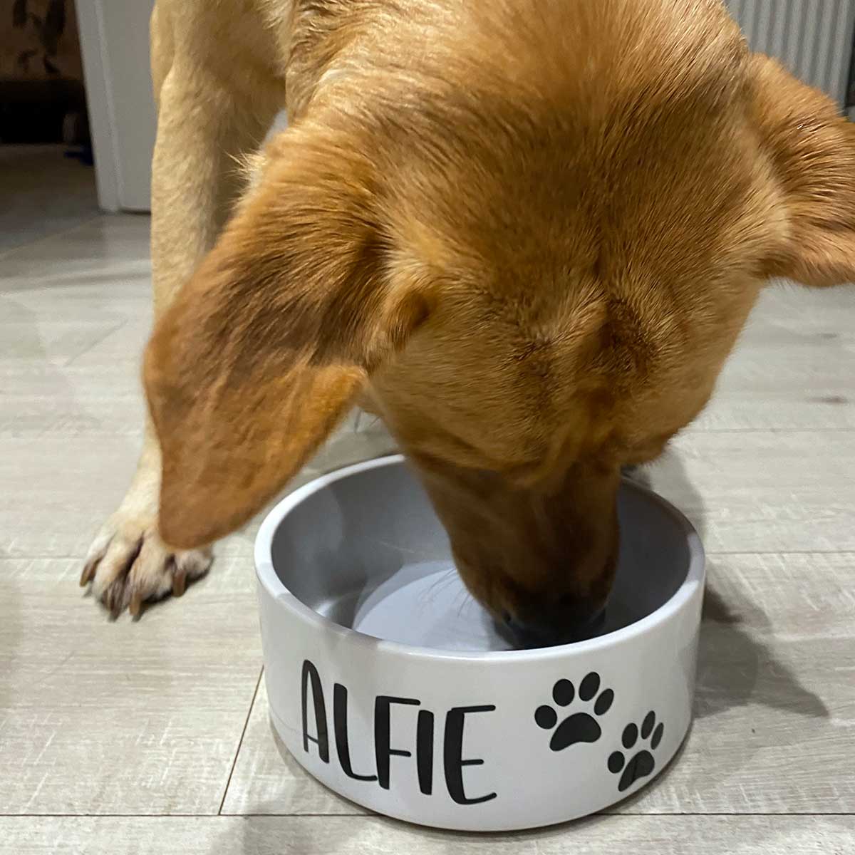 Paw Print Personalised Dog Bowl