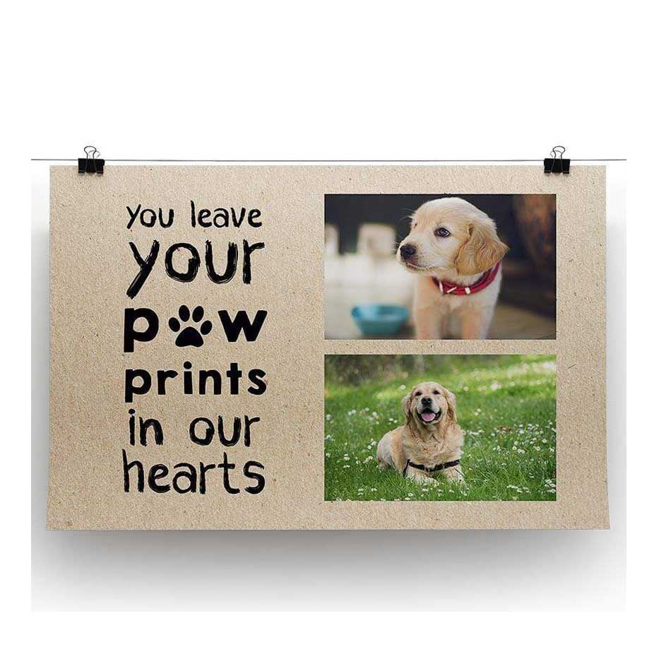 Your Paw Prints Framed Print